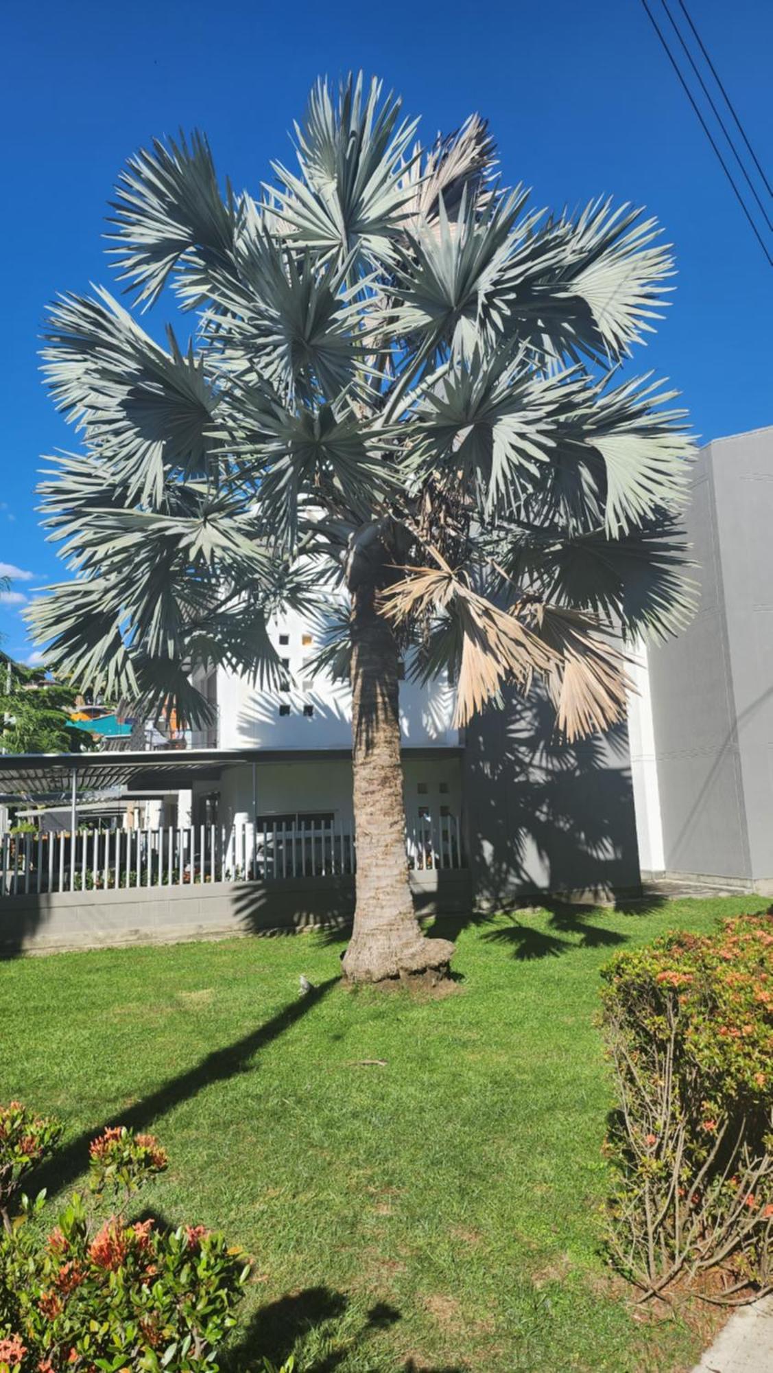 Apartasol Club Ciudadela Santa Fe - Santa Fe De Antioquia Exteriér fotografie